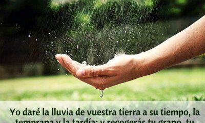 Temor lluvia